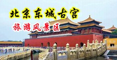 免费观看女生日b中国北京-东城古宫旅游风景区